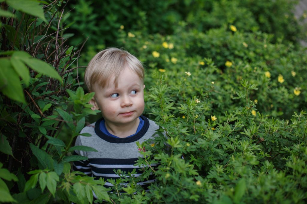 boy in shrub