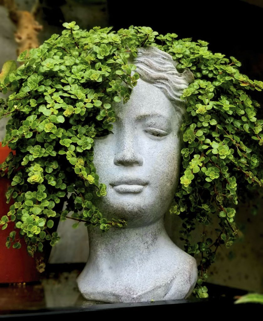 statue with a plant for hair