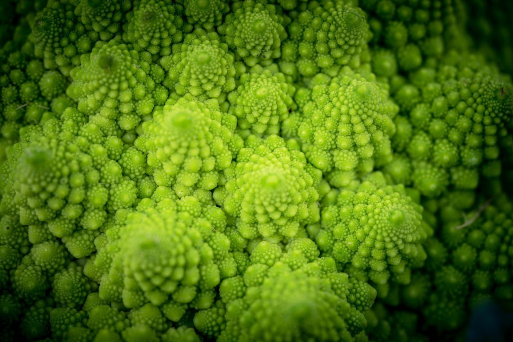 fractals are found throughout nature and have a calming effect on the mind