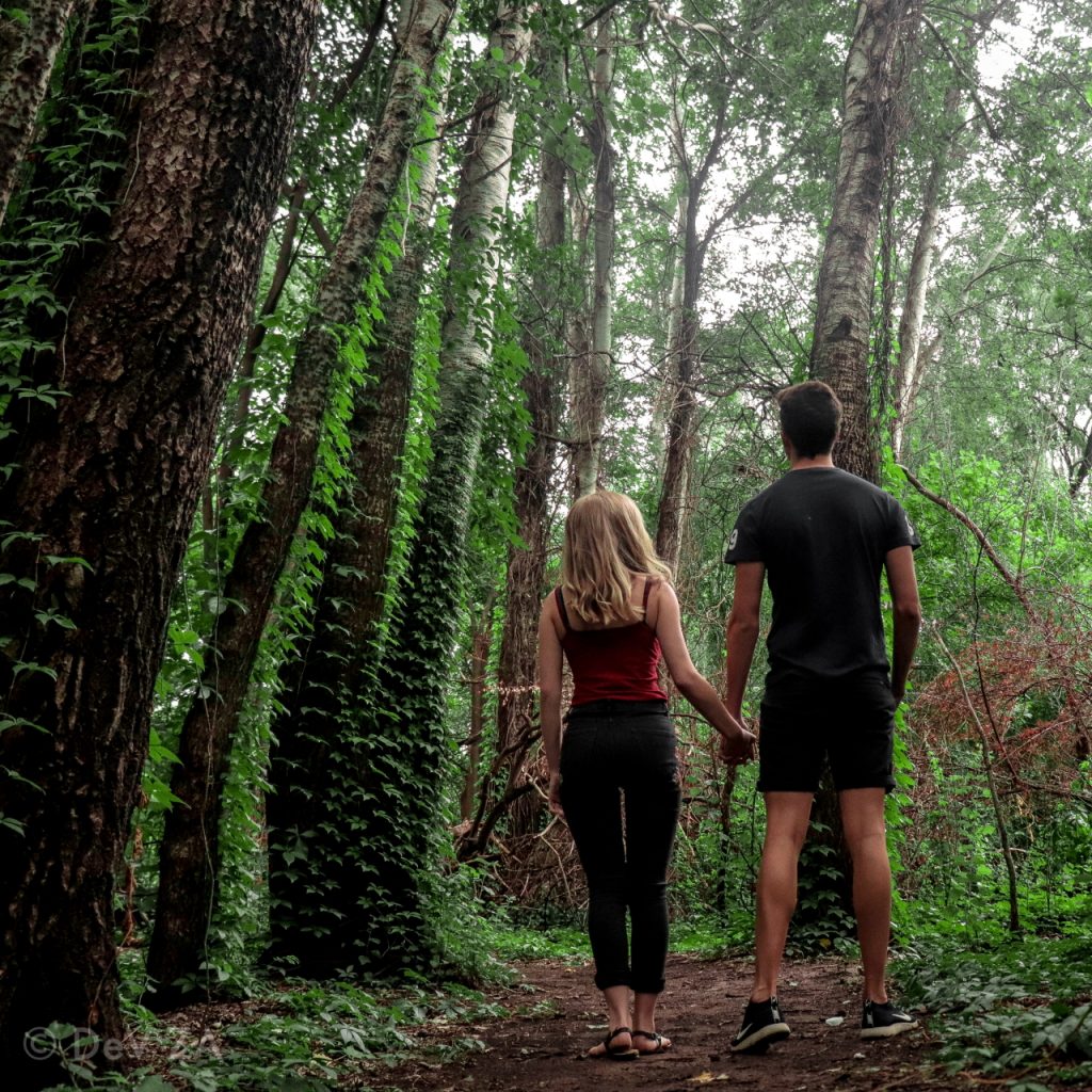 couple experiencing forest therapy